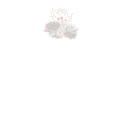 ũҲˡõʥף♥️'
